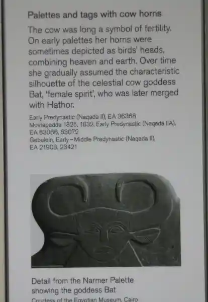 Horns on goddess Bat